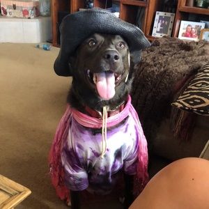 Meet your Posher, Riley